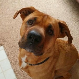 Meet your Posher, Heather